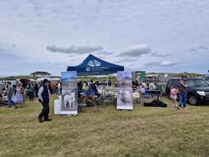 A promotional tent at the Erris Agricultural Show promoting Cladoir Sheep and the National Park